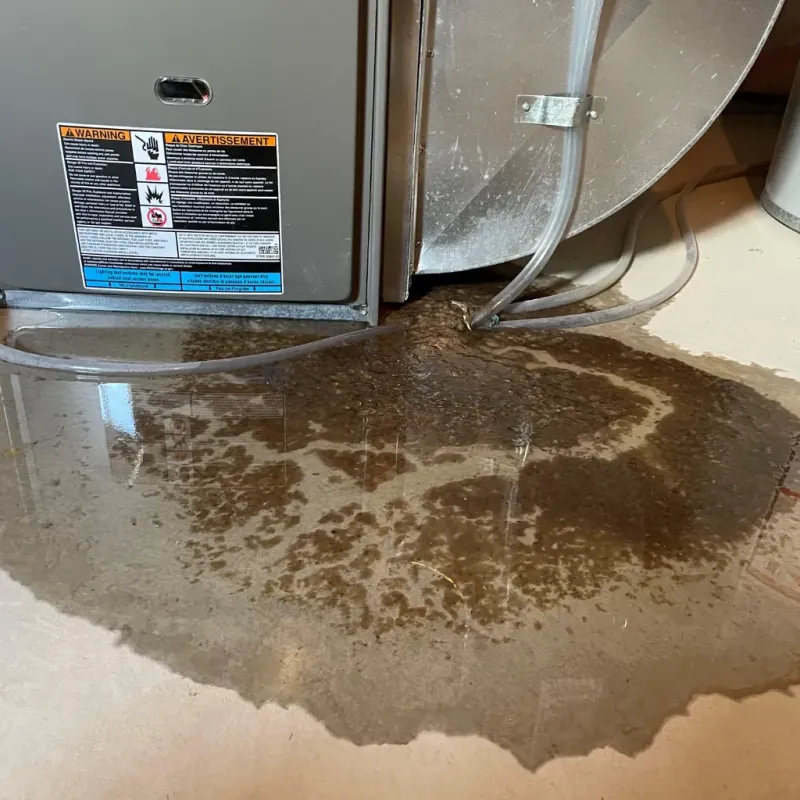 Appliance Leak Cleanup in Brent, FL